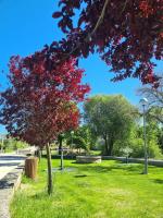 Casa das Pédrinhas Pousade Guarda - B&B Guarda