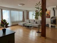 Domizil Seeidyll - Ferienwohnung Spiez