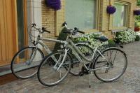 B&B Bloemenweelde - B&B Kortrijk