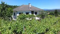 Villa con piscina y parque infantil en Pantón, Ribeira Sacra, Galicia - Chambres d'hôtes Pantón