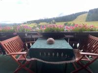Ferienhaus mit 3 Apartments - Rose Apartment - Top-Lage, Sauna, HS-Card - B&B Feldberg