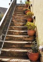 Leopard Lily - B&B Potchefstroom