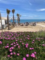 Apartamentos con piscina y vistas al mar-La Mata - B&B Torrevieja