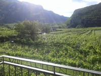 La Masera Holiday - Oliveto - B&B Nago-Torbole