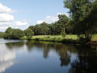 Détente au golf des etoiles - B&B Nançay