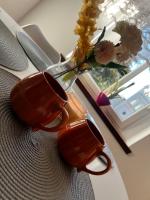 Apartament Wolności - B&B Jaworzyna Śląska