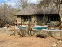 Luvivane Luxury Villa - Chambres d’hôtes Marloth Park