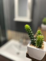 Cosy Home STUDIO - B&B Croydon