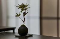 犬山口駅10分 80インチ映画館有 無料駐車場 ベッド6台 ソファベッド1台 83平米 最大10名宿泊可 - Chambres d’hôtes Inuyama