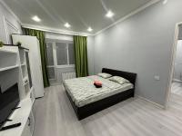 Уютная 1 комнатная квартира в ЖК БАВАРИЯ - B&B Aktobe