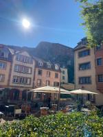 Le Cocon du lion - B&B Belfort