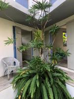 Villa con 3 Camere da Letto