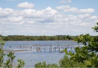 Le Jardin de Sauge - B&B Le Teich
