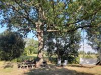 Marie Bonheur - Bed and Breakfast Celles