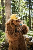 Sunken Escapes Cabin 10 - B&B New Minas