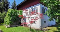 ARI's Domizil nähe Bodensee & Bregenz-City - B&B Bregenz