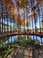 寵物友善 漫步森活 九樺落羽松民宿 - B&B Guoxing