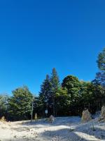 Magnific Apartments - B&B Bjelašnica