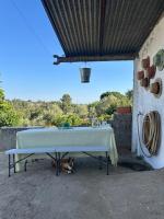 A cozy cottage in Tomar - B&B Tomar