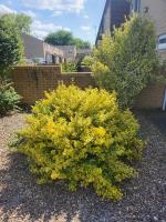 Spacious, 3 double bedroomed, free parking, 9 mins Elland Rd, nr Leeds City Centre - Chambres d'hôtes Leeds