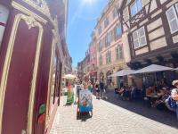 Colmar Attic Duplex - Ferienwohnung Colmar