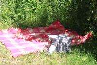 The Charcoal Hut woodland retreat - B&B Llandovery