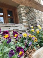 Casa da Vinha vistas fantásticas - B&B Palas