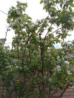 La Rafaela - Chambres d’hôtes Zonda