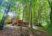 Chalet des Oies, private spa - Chambres d’hôtes Cerfontaine