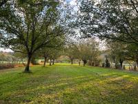 Le clos des noyers - Bed and Breakfast Sainte-Mondane