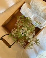 Auszeit Ferienhaus Nr 2a - B&B Sierscheid