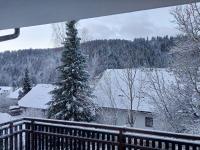 Aurora Verde - Ferienwohnung Todtmoos