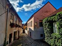 Apartments Aron Stinná - Ferienwohnung Trebitsch-Stadt