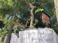 Come home holiday bungalow & villa - B&B Matara