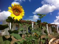 B&B Olbia - Nacchinono - Bed and Breakfast Olbia