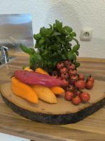 Ferienwohnung Vulkanblick -Dein Ruheplatz mitten im Vulkanland - B&B Kalenborn-Scheuern