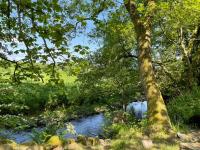 Stream Side Shepherds Hut - B&B Hazelhead