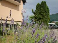 B&B Grabovac - Apartments Jančić - Bed and Breakfast Grabovac