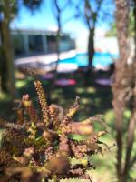 Be-Pe - Ferienwohnung Oberá