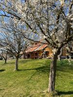 Apartments - Turistična kmetija Vrbnjak - B&B Ljutomer