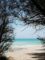 Interno12 Luminoso bilocale tra i tetti - B&B San Benedetto del Tronto