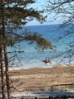 Appartamento con Vista Mare
