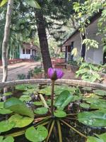 Eco Nature Lodge - Habarana - B&B Moragaswewa