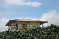 Finca La Coqueta Coffee Farm - Ferienwohnung Filandia
