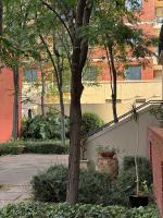 East End, 2 bedroom apartment, in ideal location - Ferienwohnung Adelaide