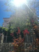 Apartments Popović - B&B Budua