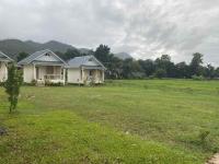 Pai Fields Good - B&B Pai