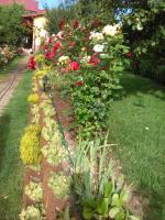 Pensiunea Lucia Ana - B&B Cluj-Napoca