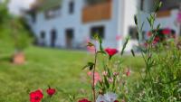 Pension Pepi - Apartments I Bed - Breakfast - B&B Perca