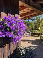 Ferienwohnung Bleckwand am Buchberghof - B&B Sankt Wolfgang